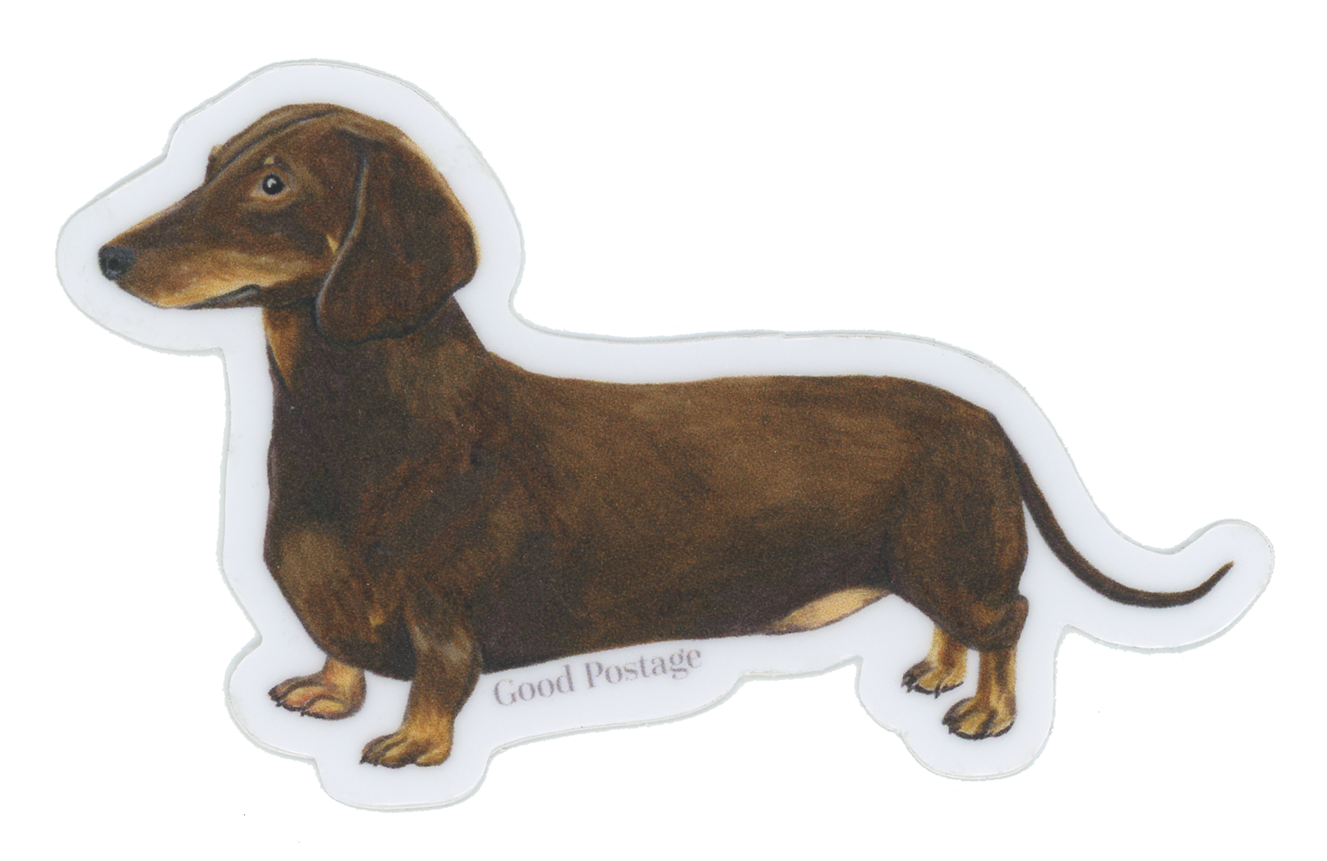 Dachshund Dog Stickers - Gold Vinyl Decals, Removable & Reusable For Laptops & More
