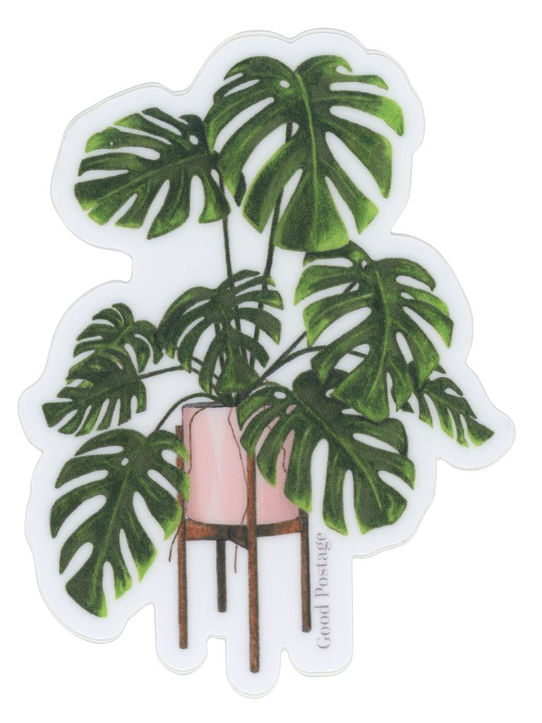 monstera sticker Monstera Deliciosa Sticker – Good Postage
