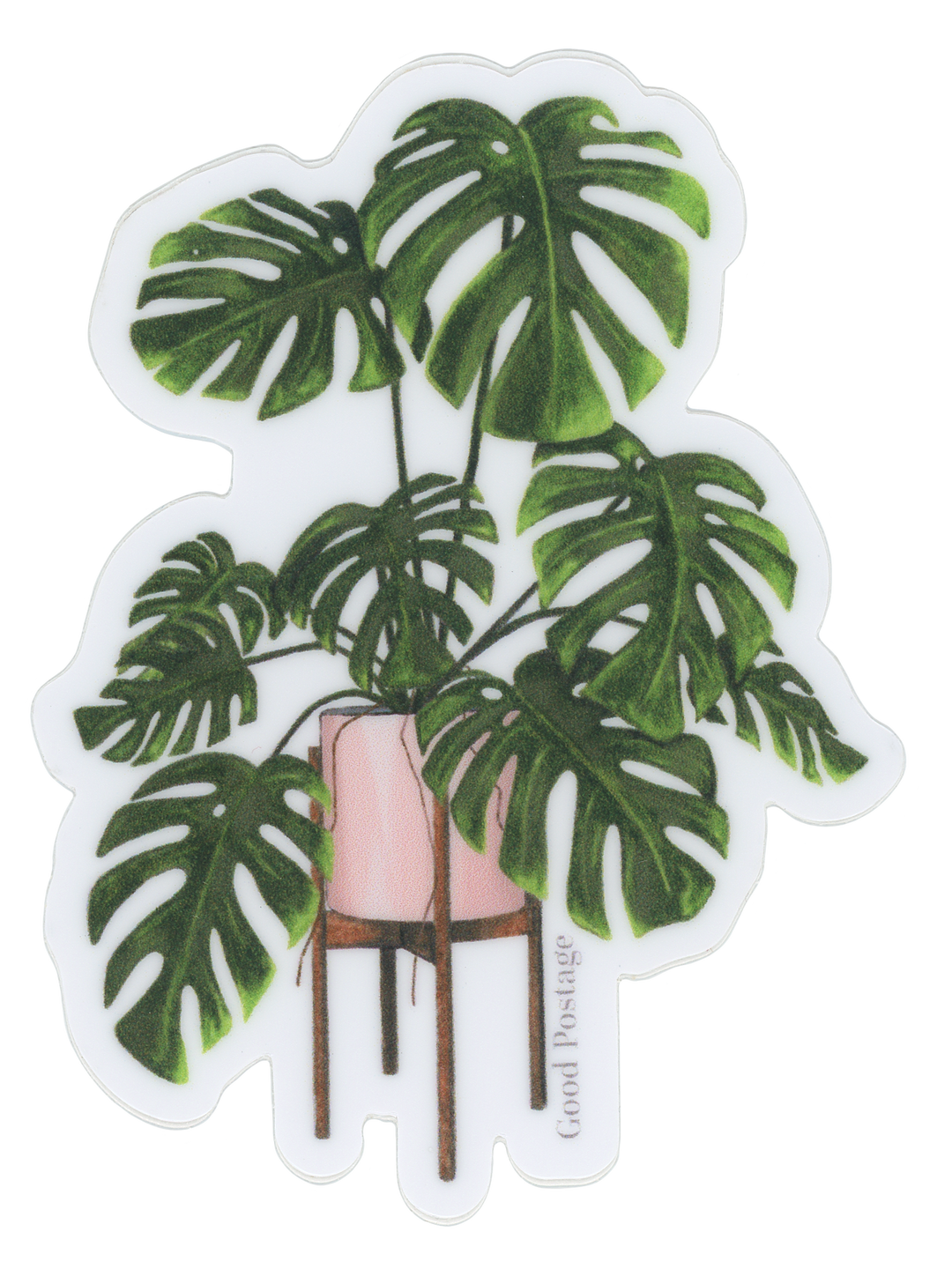 Monstera Deliciosa Sticker – Good Postage