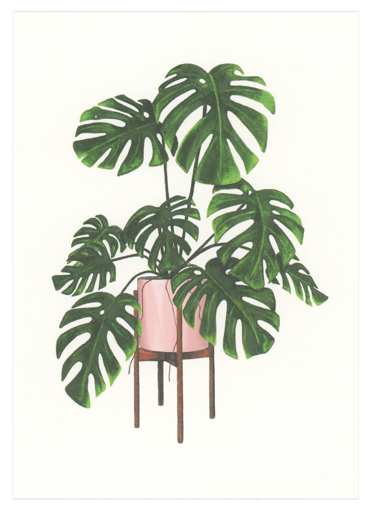 Monstera Deliciosa Art Print  Good Postage