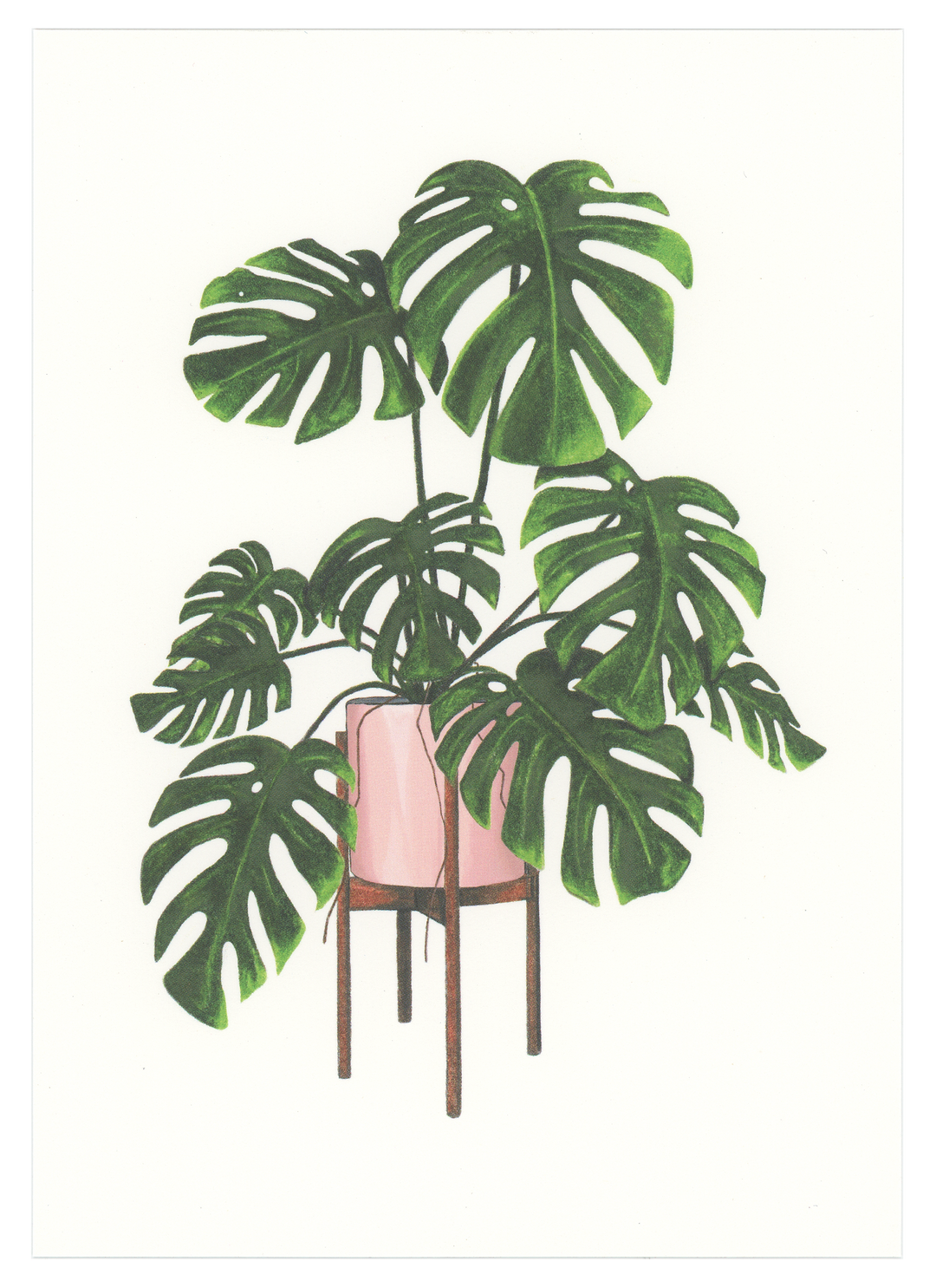 Monstera Deliciosa Art Print – Good Postage