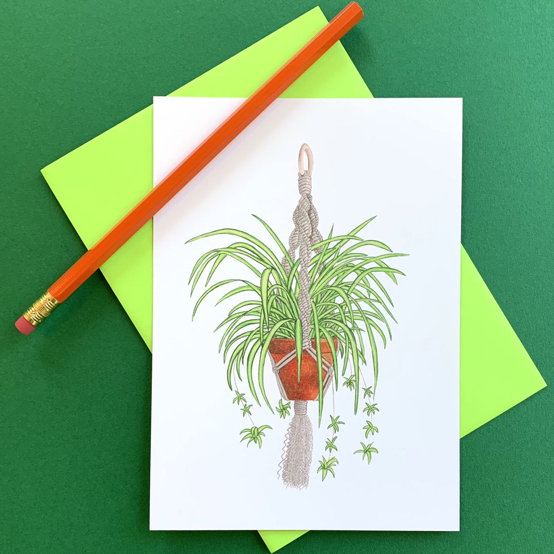 spider plant drawing Spider Plant Notecard – Good Postage